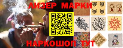 прущие грибы Вязьма