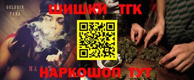 индика Вышний Волочёк