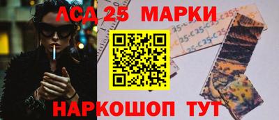индика Вышний Волочёк