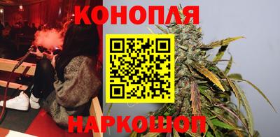 индика Вышний Волочёк