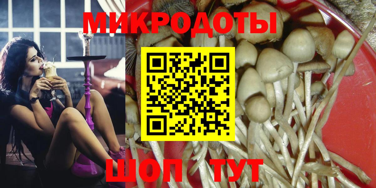 Курганинск  Псилоцибиновые грибы Magic Shrooms  Вход с VPN  цены   Галлюциногенные грибы Psilocybe 